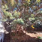 Apartment Casa Milda