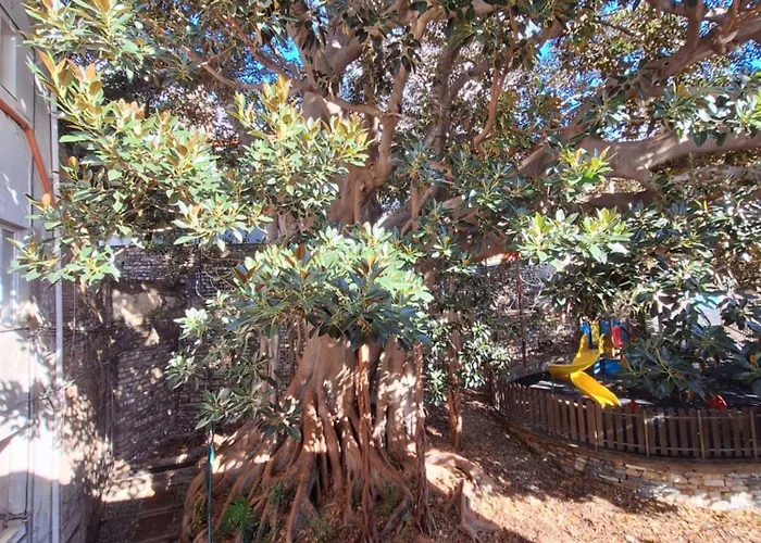 Apartment Casa Milda